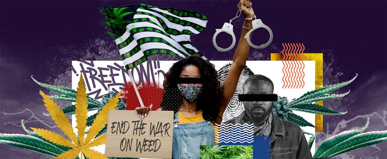 Social impacts in the cannabis industry