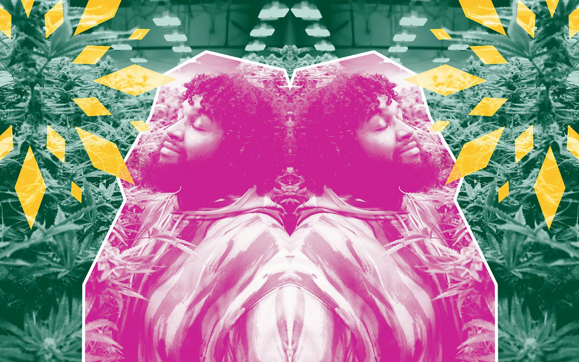 Seeds of Change background image